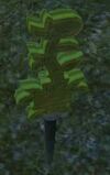 Plantedholysymboloftunare