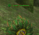 A deadly bloodbloom