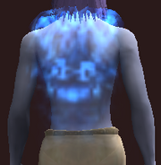 Shimmering Pelisse (Equipped)