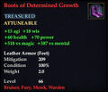 Boots of Determined Growth.jpg