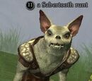 A Sabertooth runt
