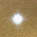 Race wisp.jpg