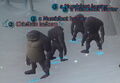 Thumbnail for version as of 10:33, December 10, 2006