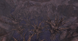 The Withered Lands