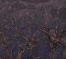 The Withered Lands