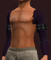 Venerable Shoulder Pads of the Stormbringer (Equipped)