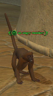 An angry monkey