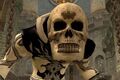 A skeleton mask (Visible).jpg