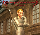 Knight-Captain Percius