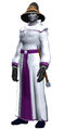 An Exquisite Robe (Visible).jpg