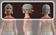 Naturewalker's Cap (Equipped)
