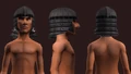 Animist's Coif of the Citadel (Equipped).png