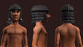 Animist's Coif of the Citadel (Equipped).png