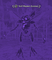 Veil Hunter