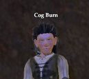Cog Burn