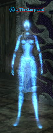 A Thexian guard (Nektropos Castle)