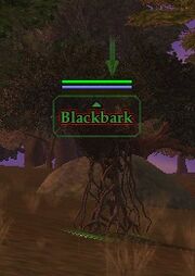 Blackbark