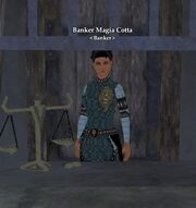 Banker Magia Cotta