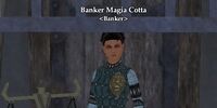 Banker Magia Cotta