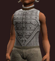 Gambler's Hauberk of the Citadel (Equipped)