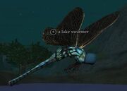 Lakeswarmer