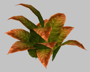 Leafy Autumnal Shrub (Visible)