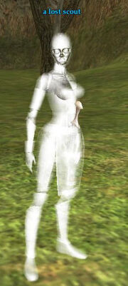 Lost scout