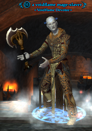 A voidflame mage-slaver