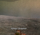 Splorpy Quagmarr