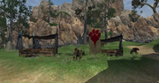 Camp Redcap
