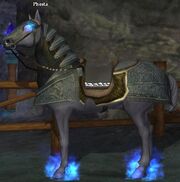Phesta