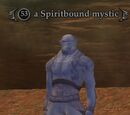 A Spiritbound mystic