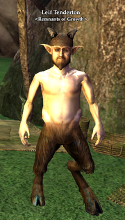 Leif Tenderton