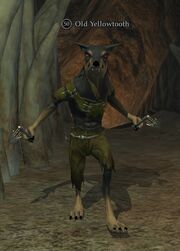 Old Yellowtooth
