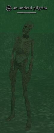 Undead pilgrim