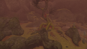 Wakening Lands