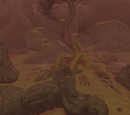 Wakening Lands