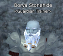 Borya Stonehide