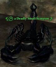 A Deadly Small Scorpion