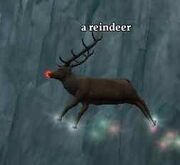 A reindeer