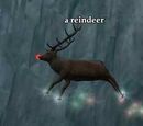 A reindeer