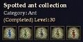 CQ ant spotted Journal.jpg