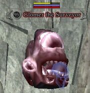 Glomer the Surveyor