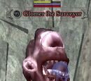 Glomer the Surveyor