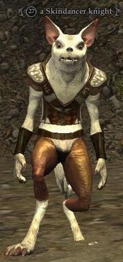 Skindancer knight