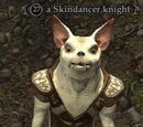 A Skindancer knight