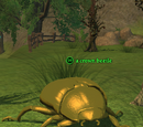 A crown beetle