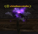 A briarthorn entraller