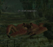 A deadly sludgewalker