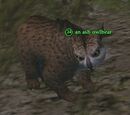 An ash owlbear